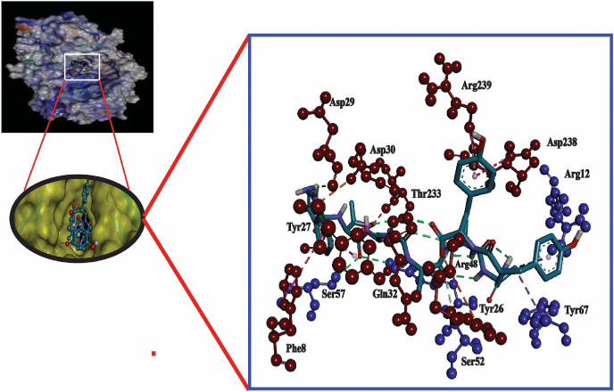 Fig. 3