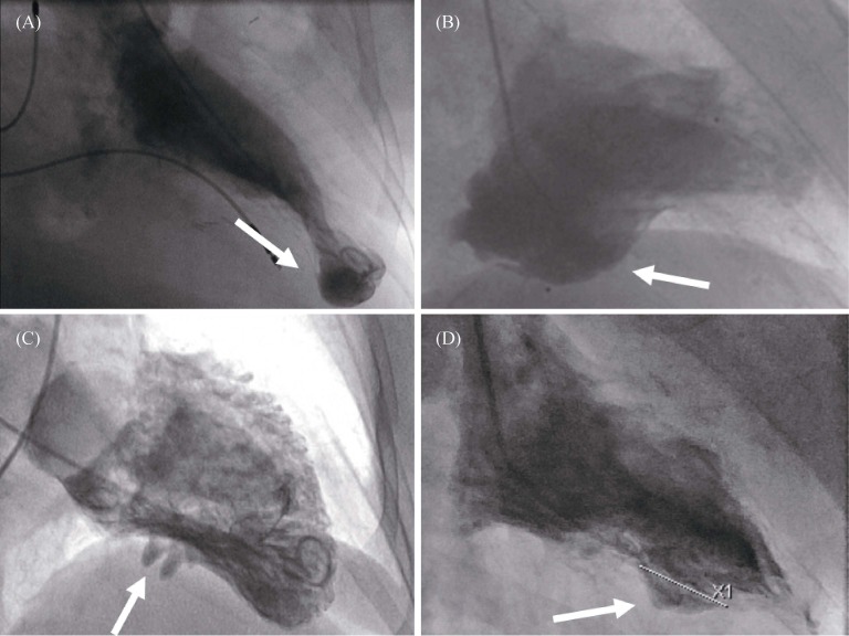 Figure 6.