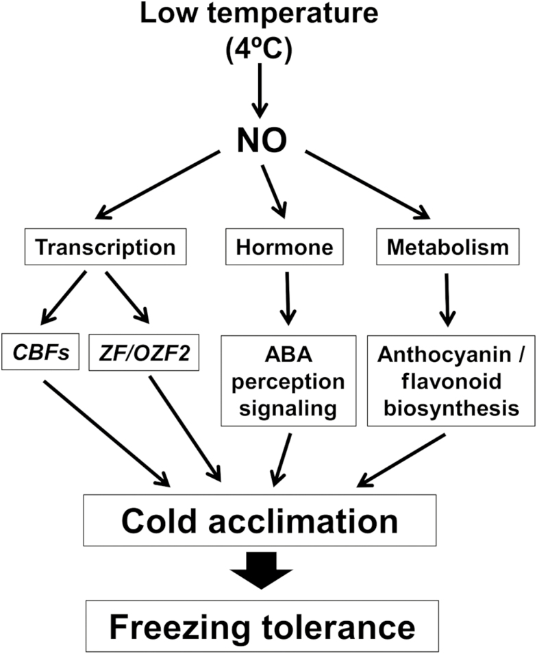 Fig. 8.