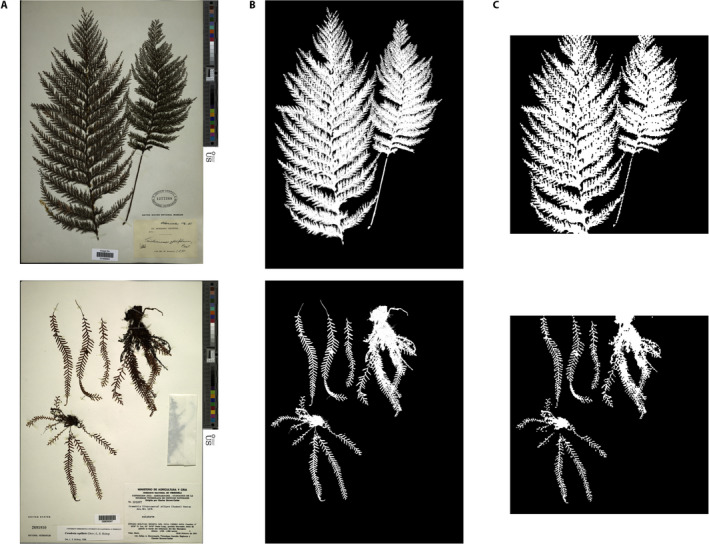 FIGURE 3