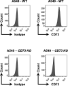 Figure 3—figure supplement 1.