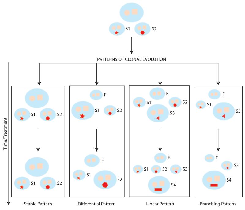 Fig. (1)