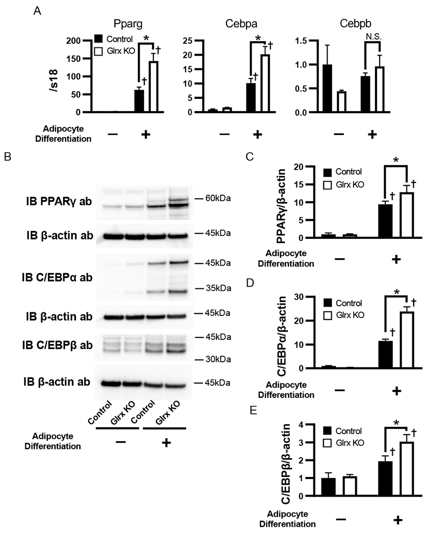 Figure 3: