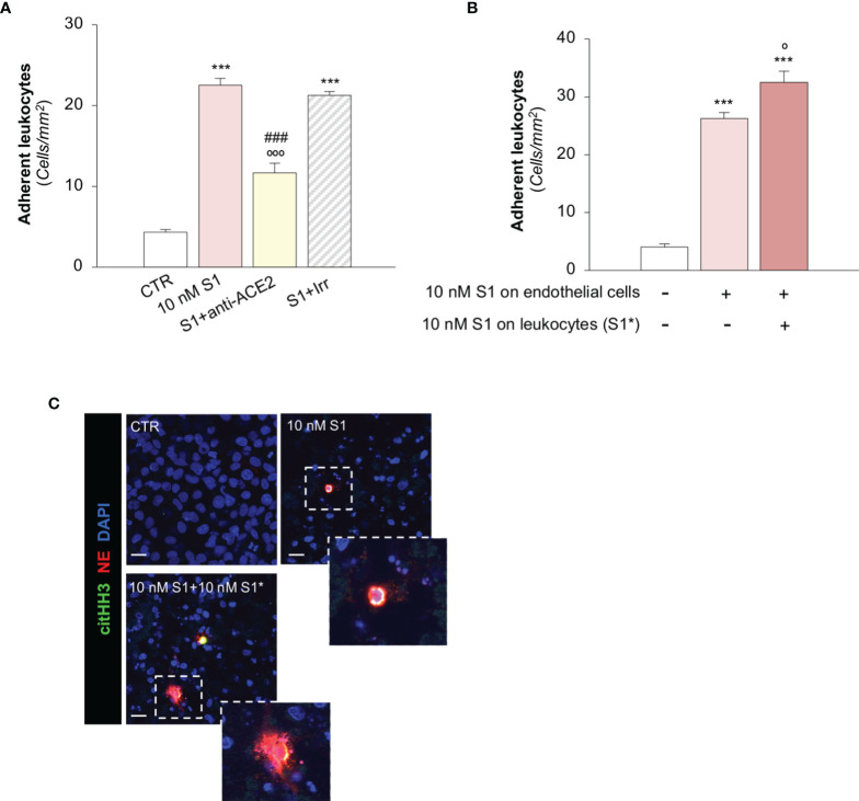 Figure 4