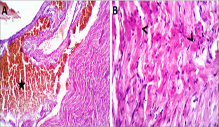 Fig. 5.