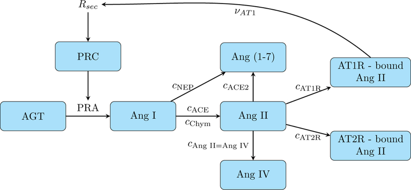 Figure 2: