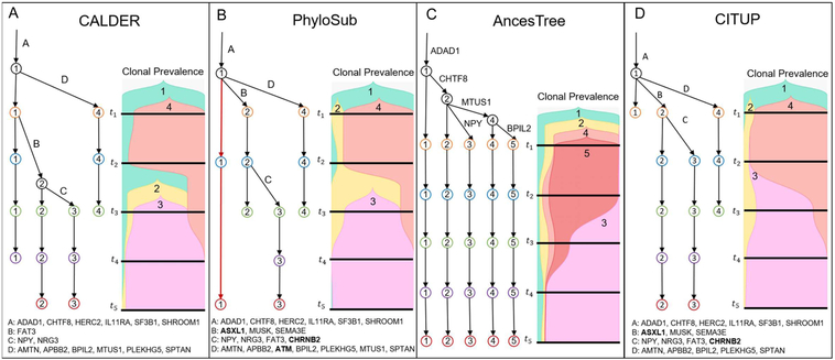 Figure 4: