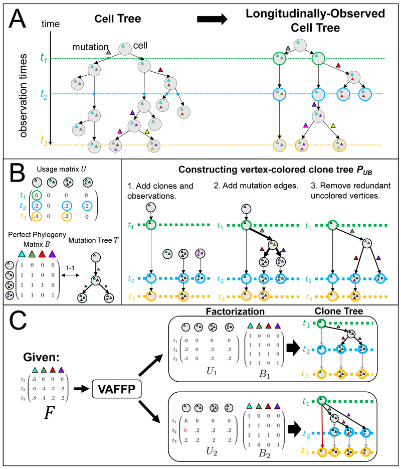 Figure 1: