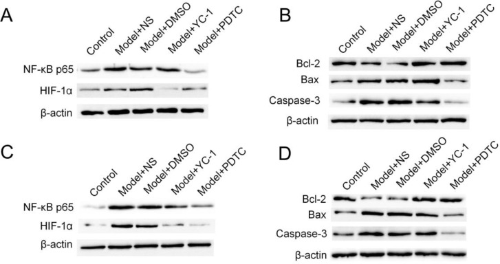 Fig. 2: