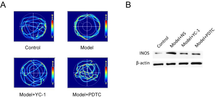 Fig. 1: