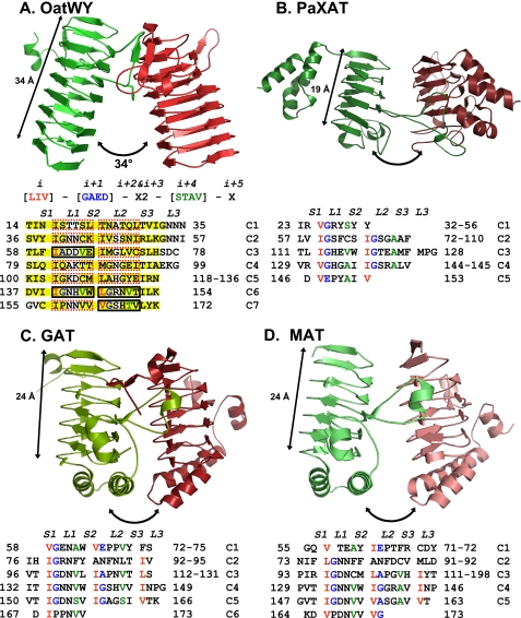 FIGURE 4.