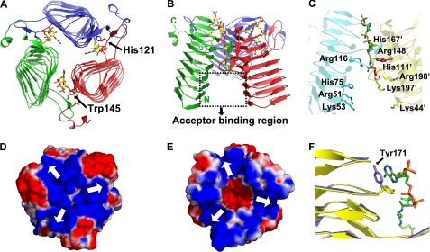 FIGURE 2.