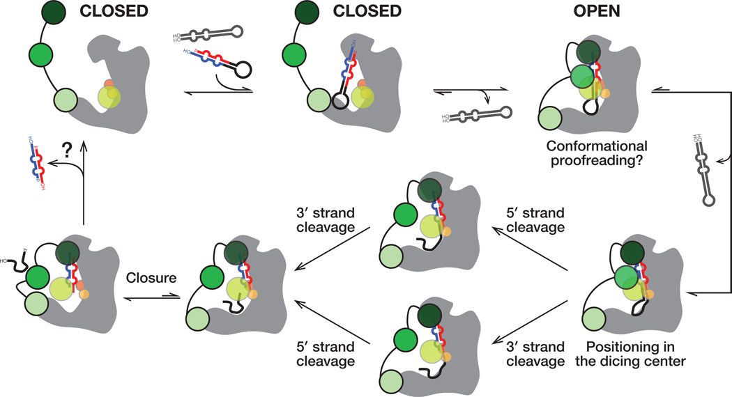 Figure 7.