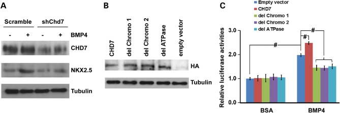 Figure 3.