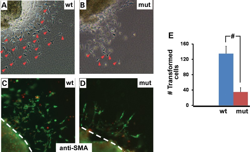 Figure 5.