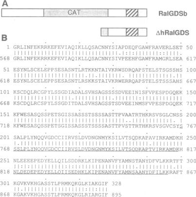 graphic file with name pnas01145-0341-a.jpg