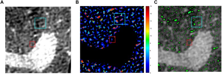 FIGURE 2