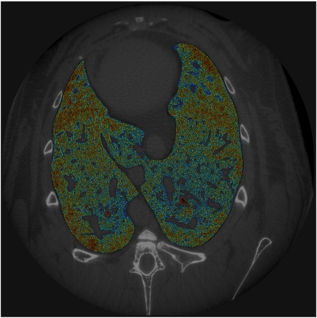 FIGURE 1