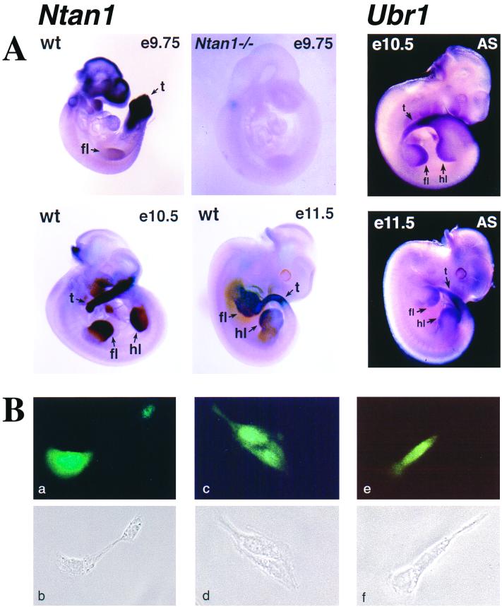 FIG. 3