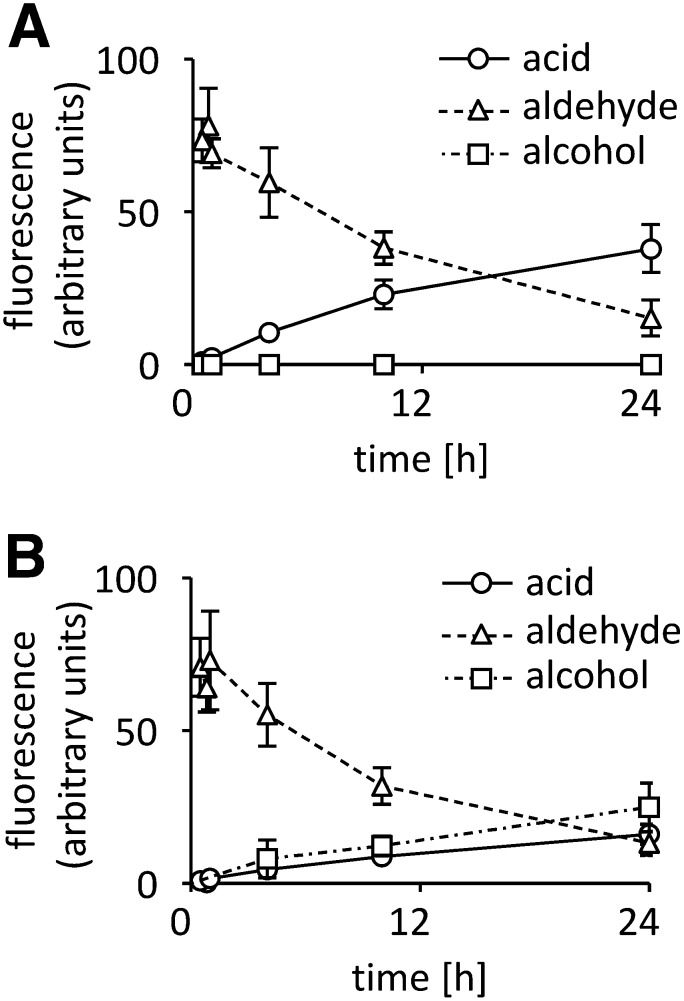 Fig.4.