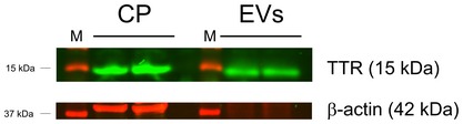 Figure EV3