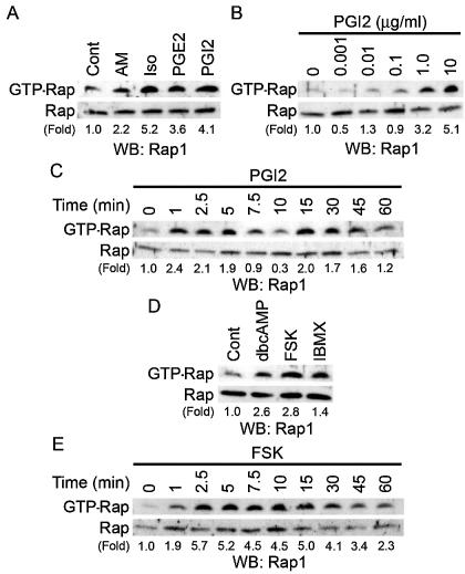 FIG. 6.