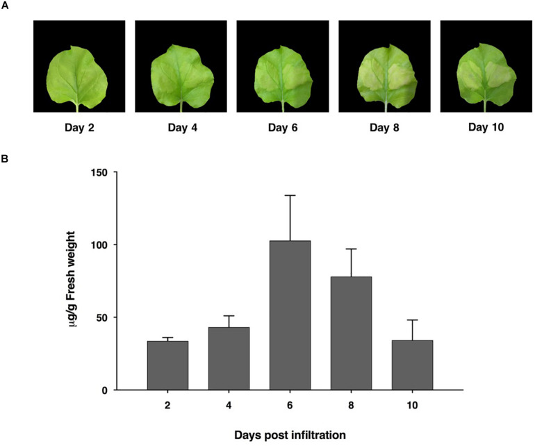 FIGURE 2