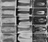 Fig. 1 a