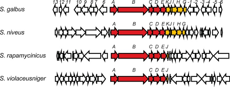 FIGURE 7.