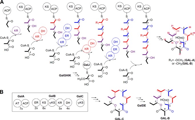 FIGURE 1.