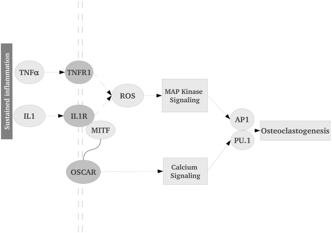 Fig 5