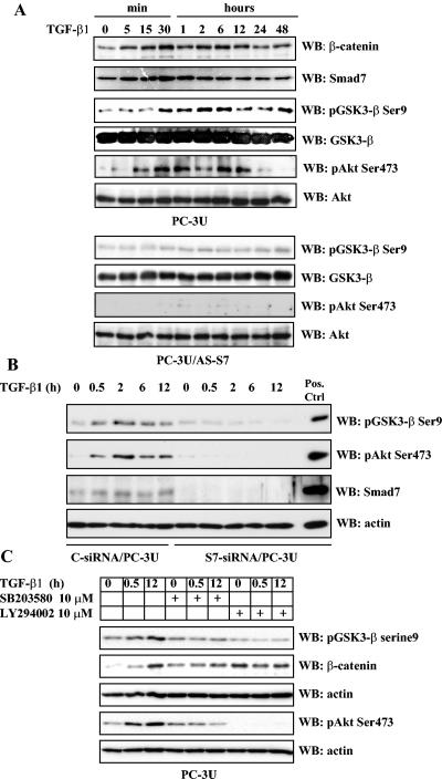 FIG. 5.