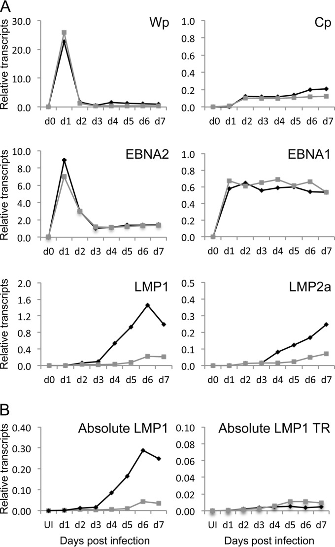 FIG 6