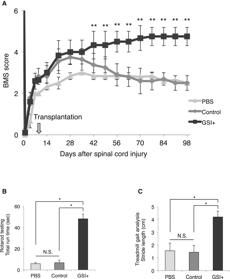 Figure 6