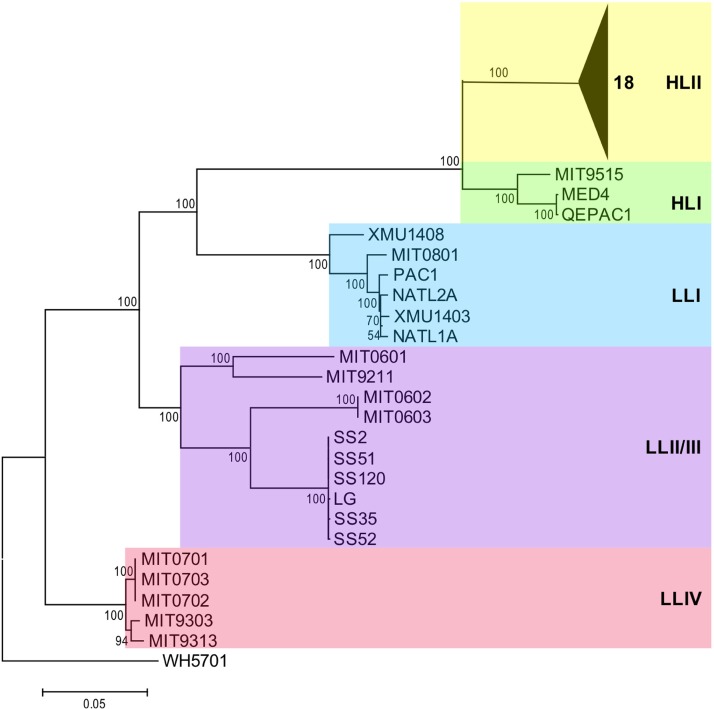 FIG 1