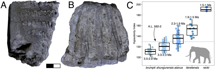 Figure 11