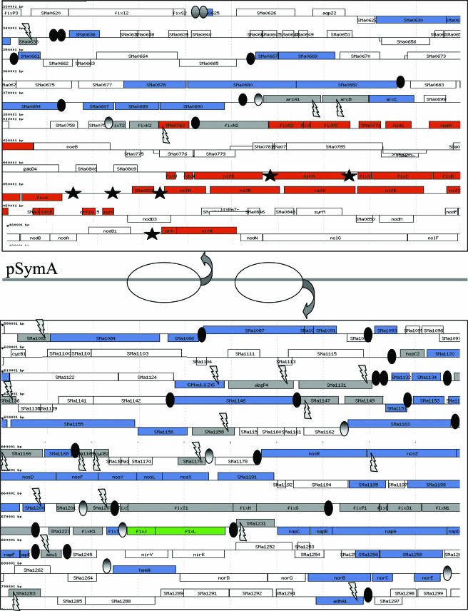 FIG. 2.