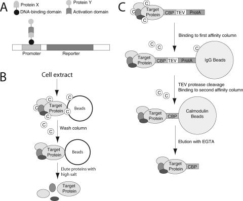 FIG. 3.