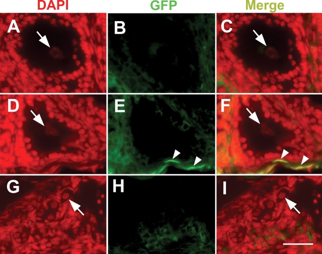 Figure 3: