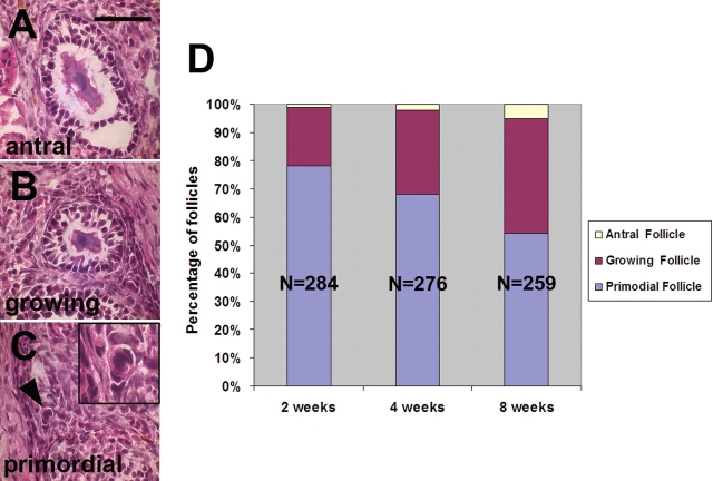 Figure 2: