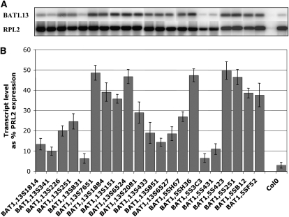 Figure 5.