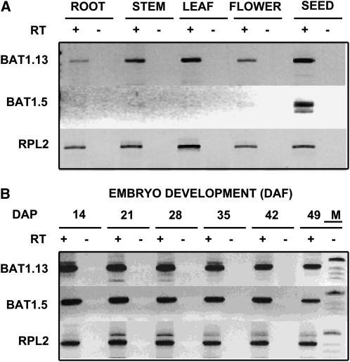 Figure 3.