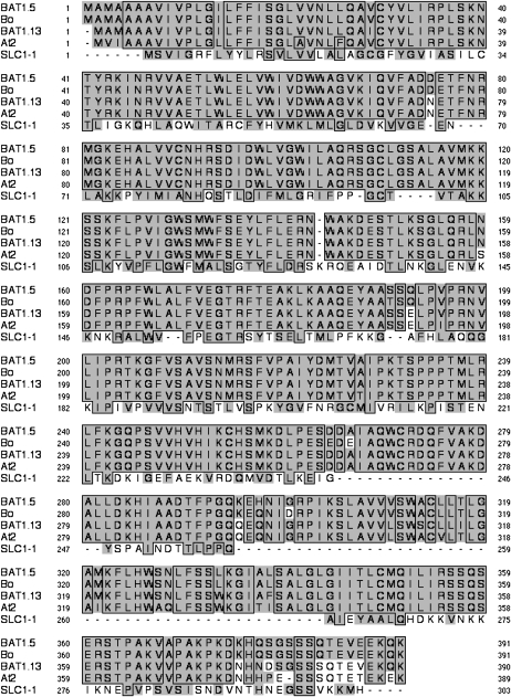 Figure 1.