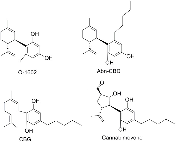 FIGURE 14