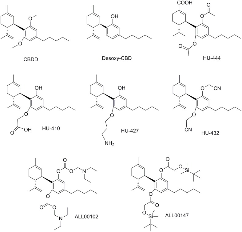 FIGURE 11