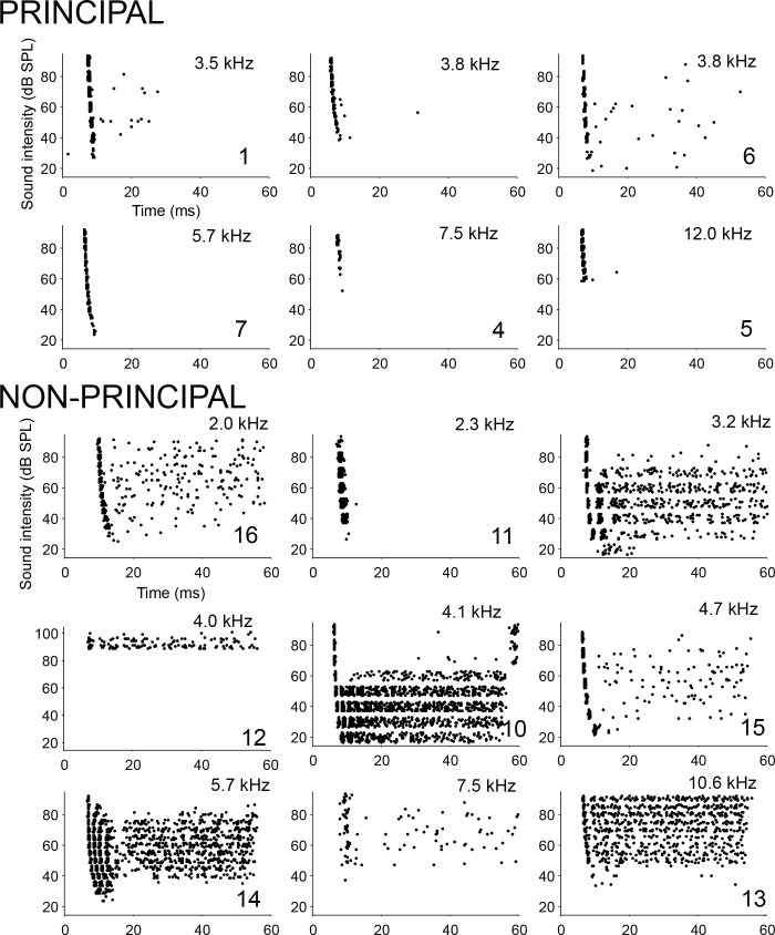 Figure 5.