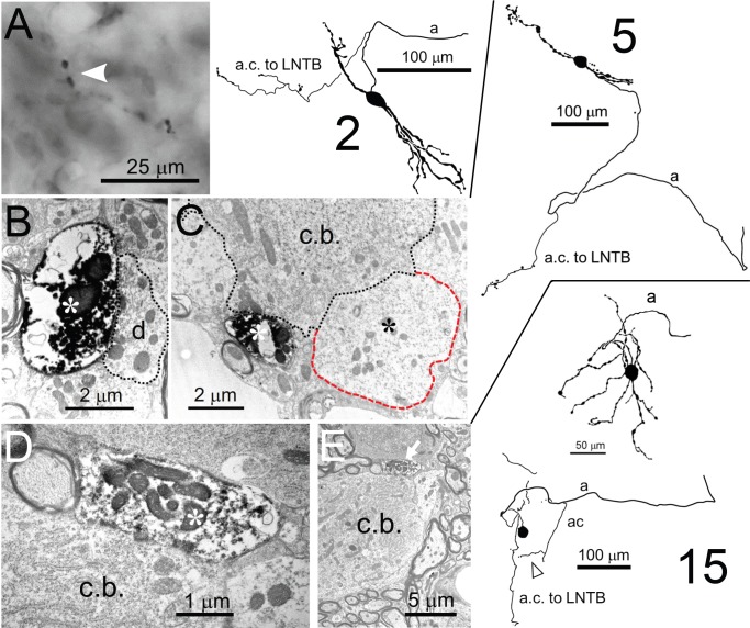 Figure 10.