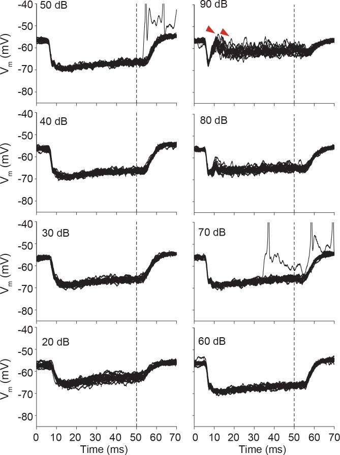 Figure 7—figure supplement 3.