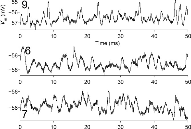 Figure 4—figure supplement 1.