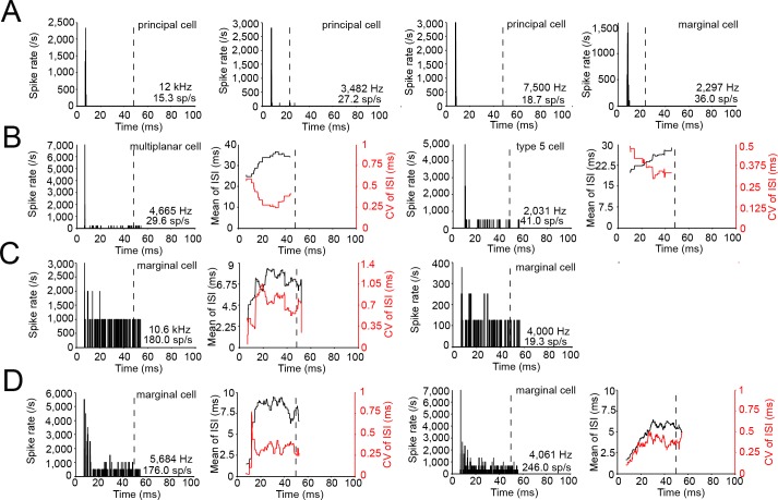 Figure 5—figure supplement 1.